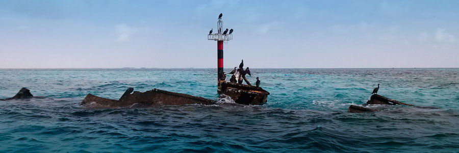 Avisos a los Marinos